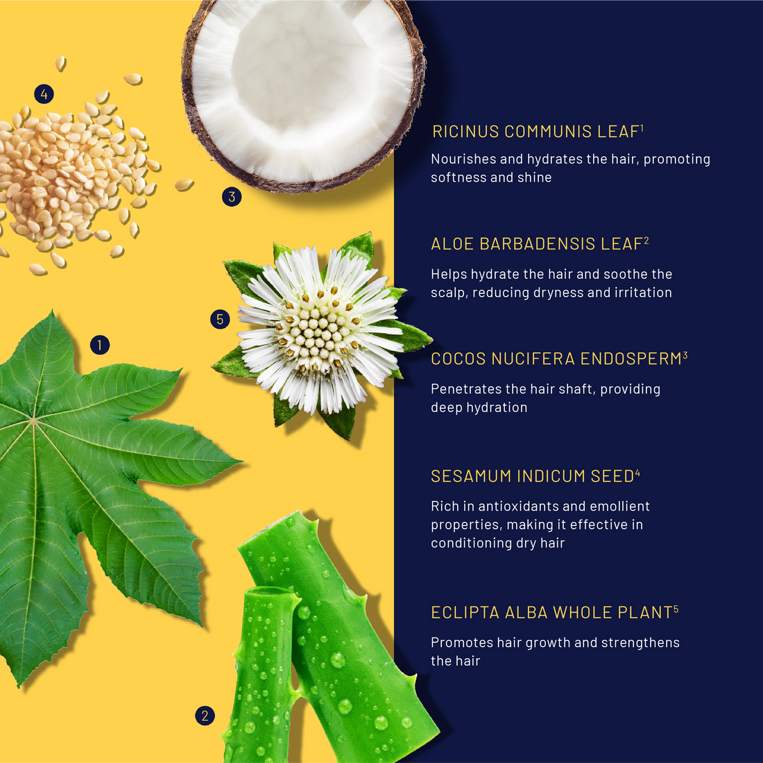 Allay Serum For Dry Scalp and Hair