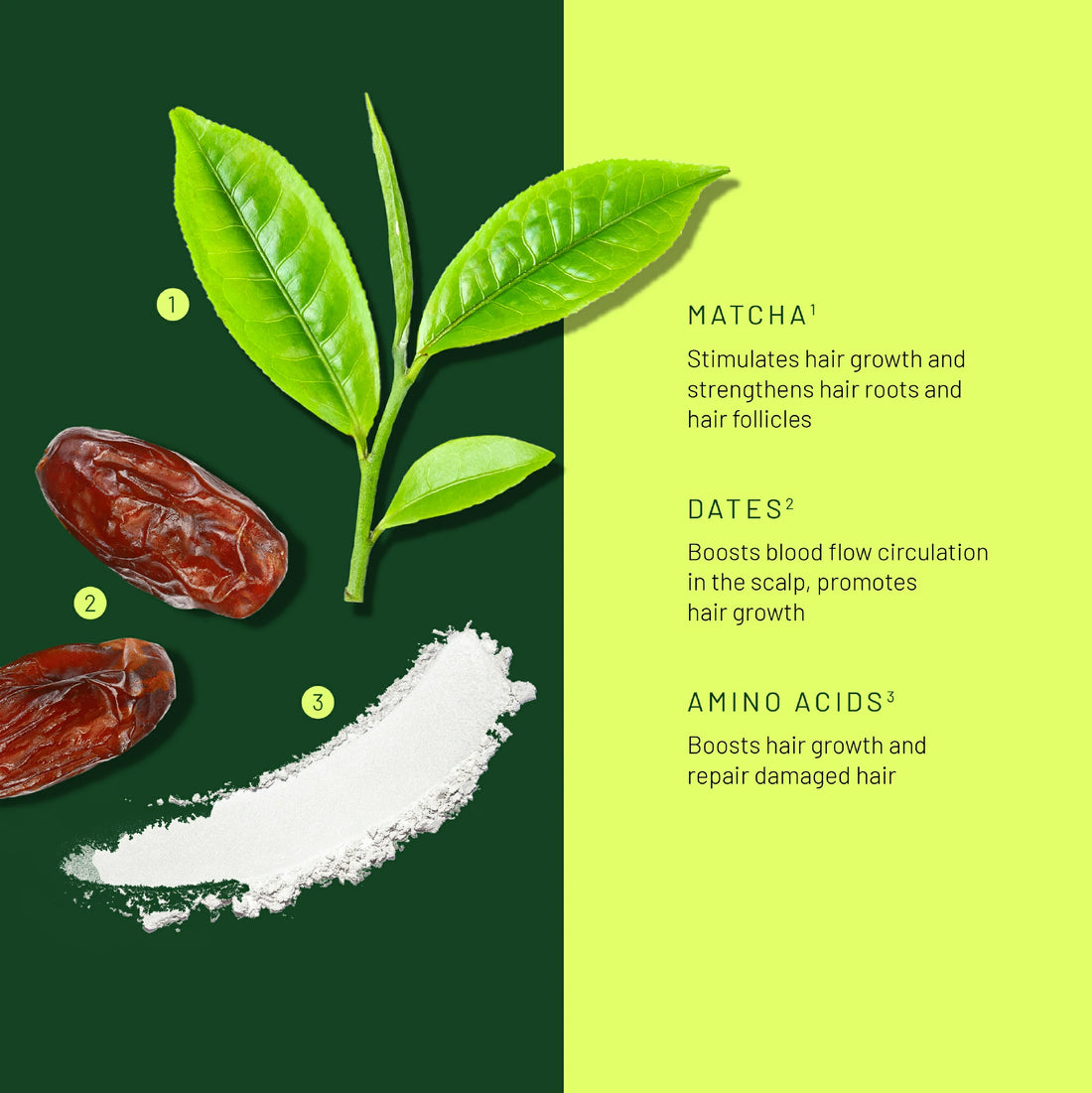 Matcha and Dates - Hair Mask